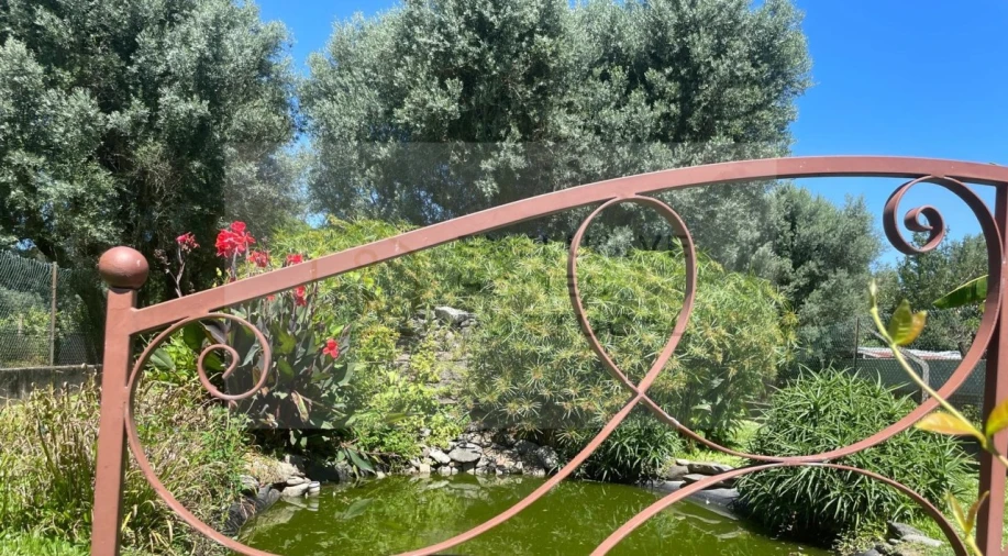 Moradia T6 para Venda em Correlhã Foto 61