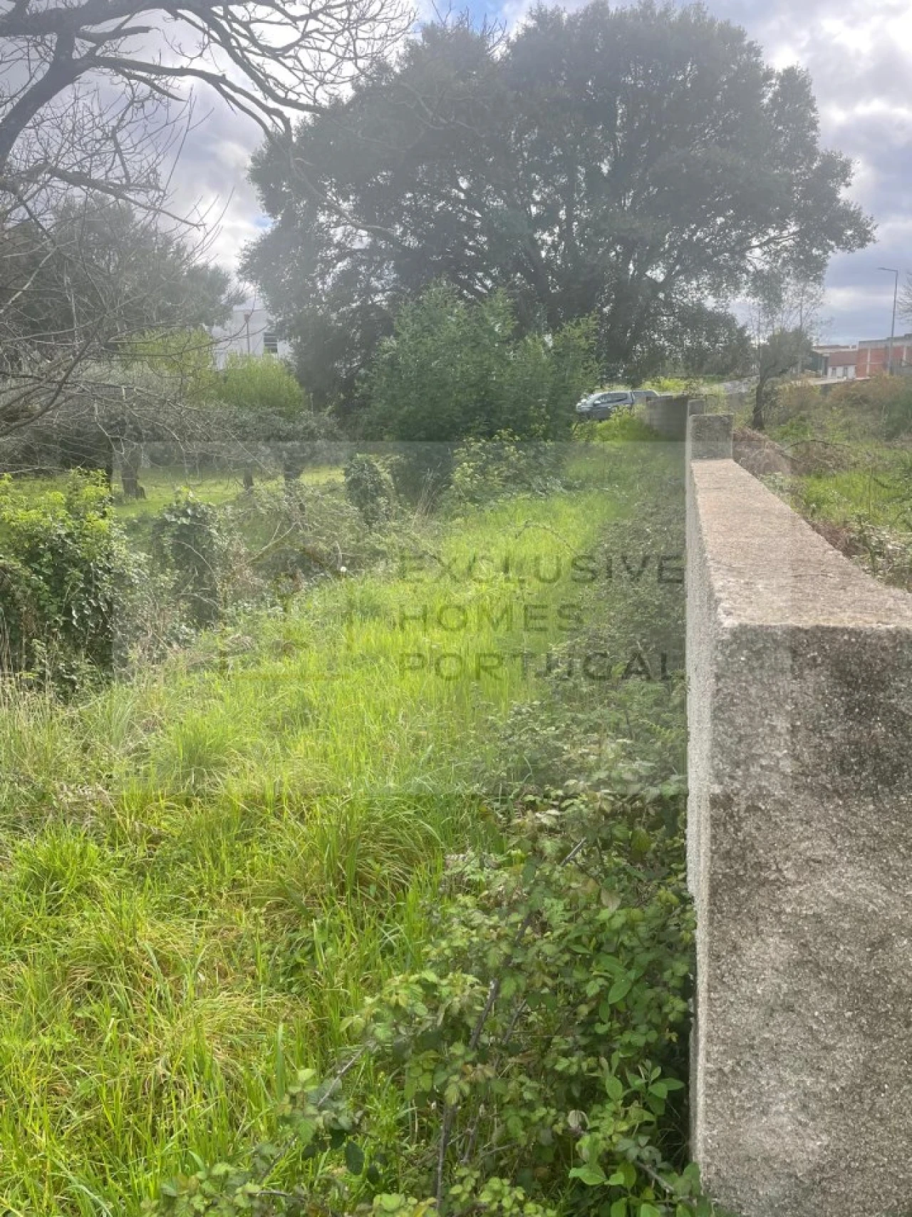 Terreno para Venda em Figueiró dos Vinhos e Bairradas Foto 7