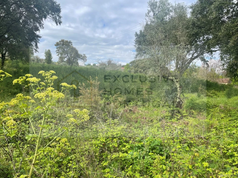 Terreno para Venda em Figueiró dos Vinhos e Bairradas Foto 15