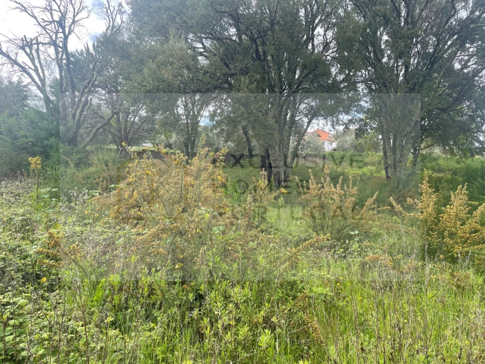 Terreno para Venda em Figueiró dos Vinhos e Bairradas Foto 17
