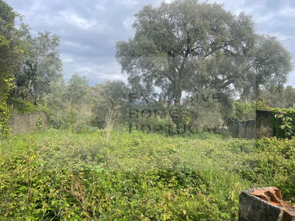 Terreno para Venda em Figueiró dos Vinhos e Bairradas Foto 18