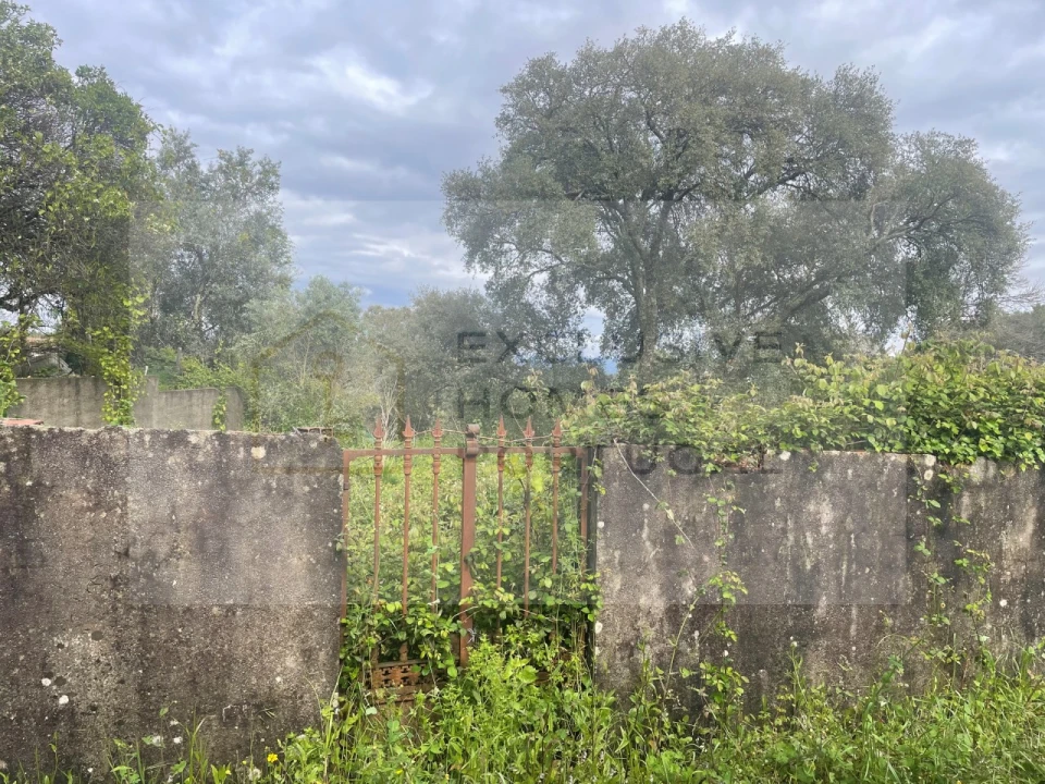 Terreno para Venda em Figueiró dos Vinhos e Bairradas Foto 19