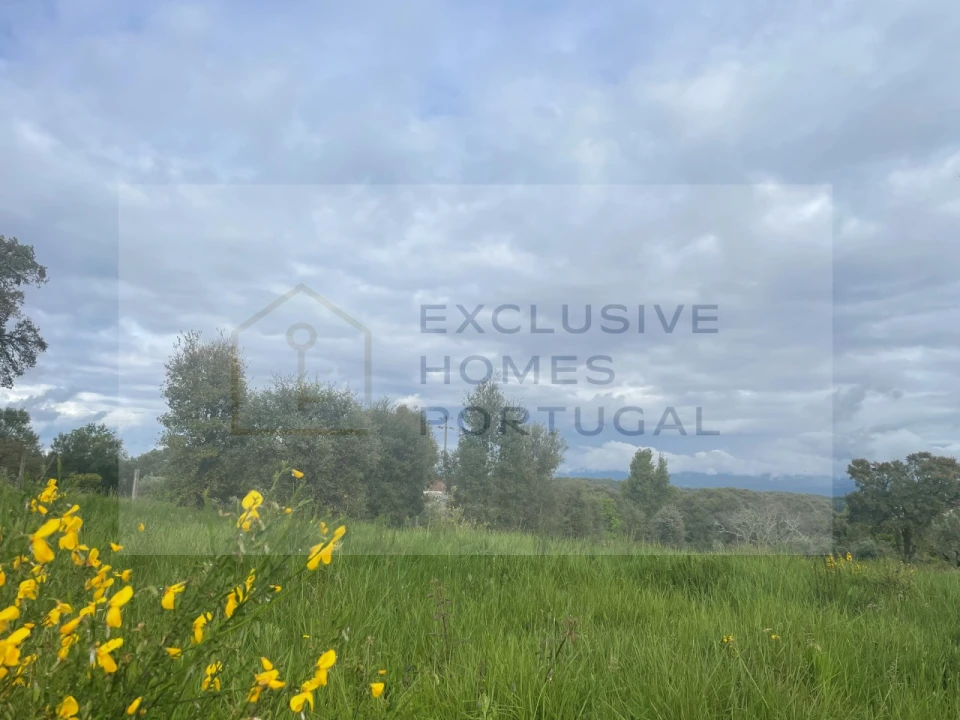 Terreno para Venda em Figueiró dos Vinhos e Bairradas Foto 21