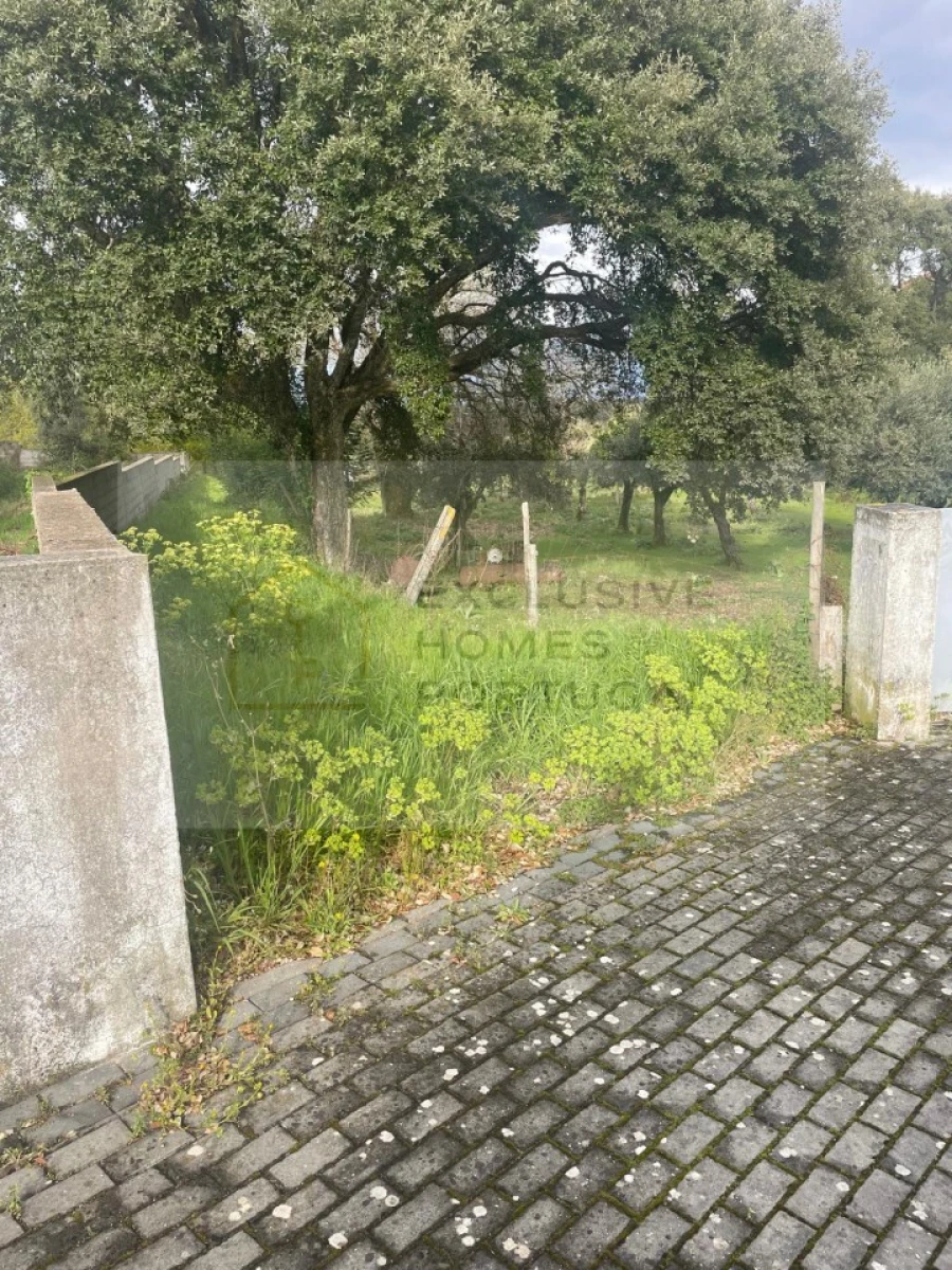 Terreno para Venda em Figueiró dos Vinhos e Bairradas Foto 8