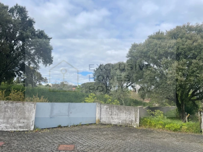 Terreno para Venda em Figueiró dos Vinhos e Bairradas Foto 13