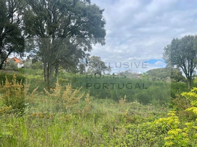 Terreno para Venda em Figueiró dos Vinhos e Bairradas Foto 16
