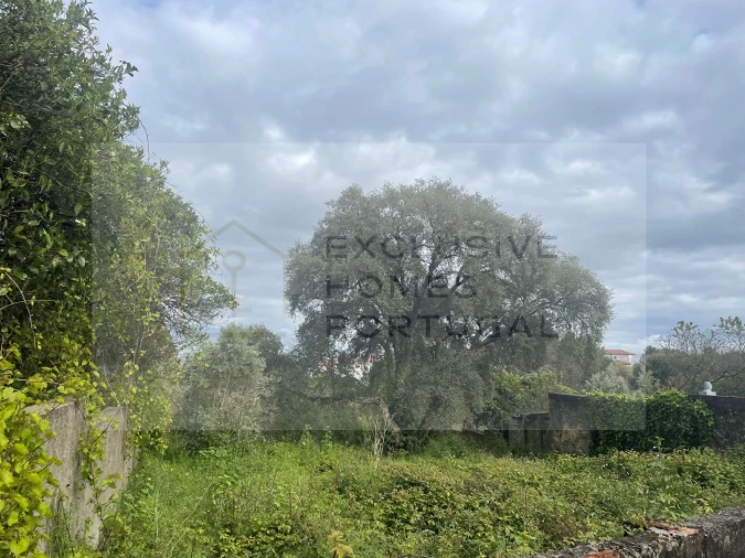 Terreno para Venda em Figueiró dos Vinhos e Bairradas Foto 20