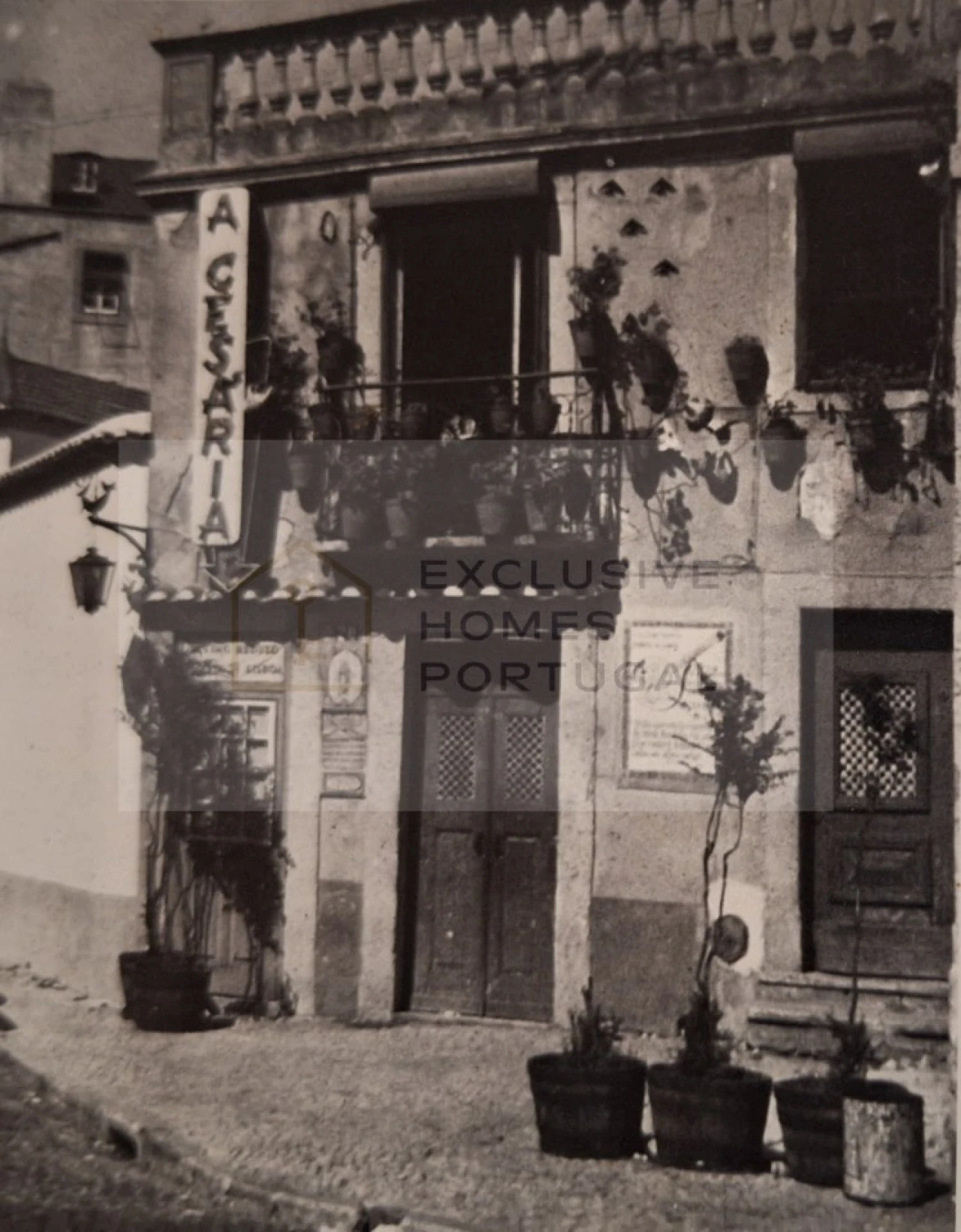 Negócio para Venda em Estrela Foto 3