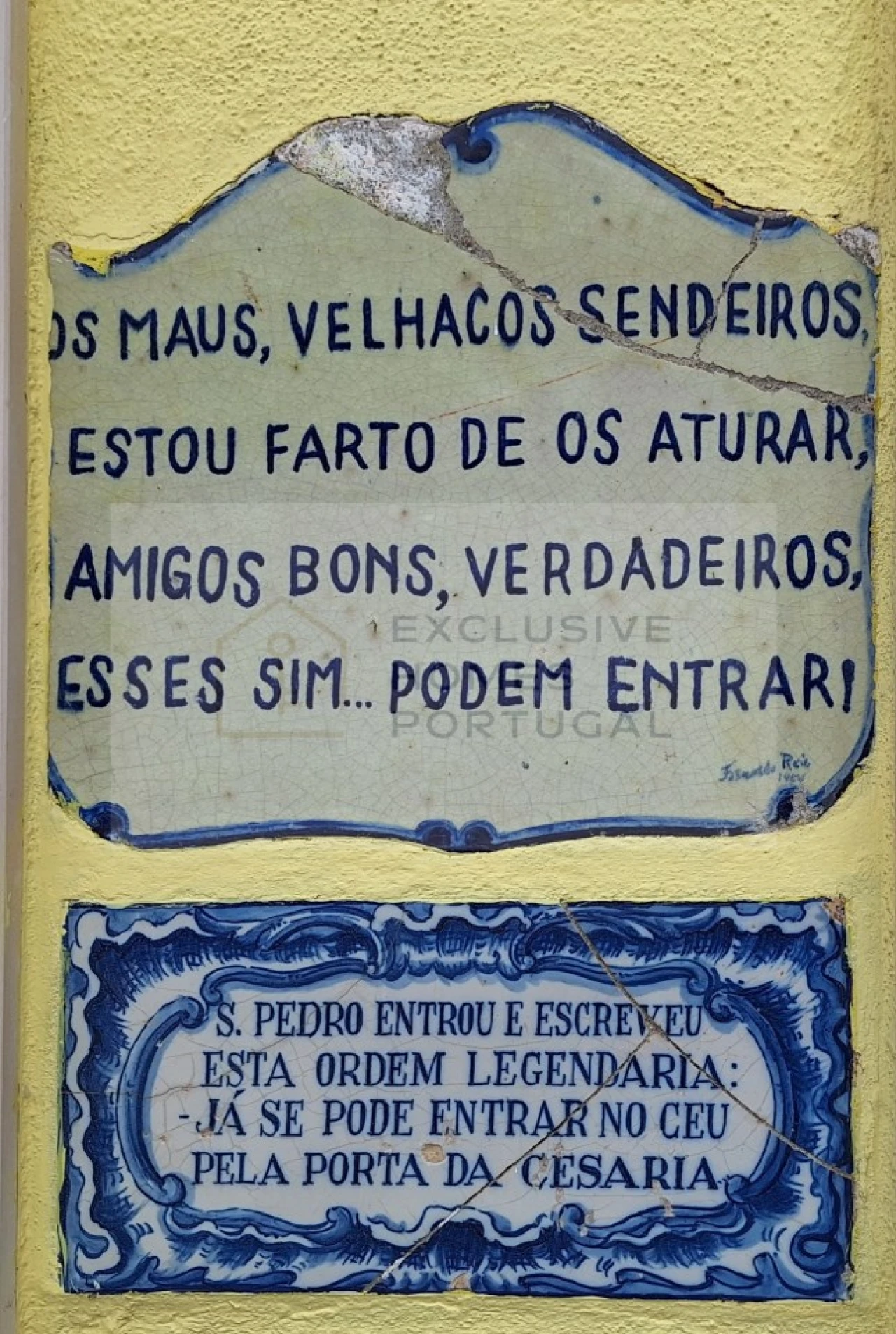 Negócio para Venda em Estrela Foto 6