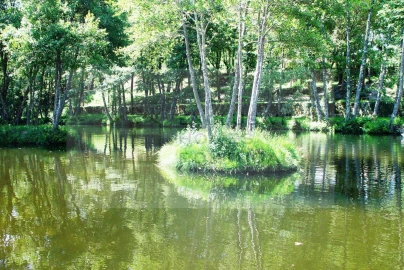 Negócio para Cedência de Quotas em Calde