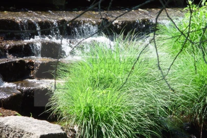 Negócio para Cedência de Quotas em Calde