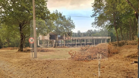 Negócio para Cedência de Quotas em Calde