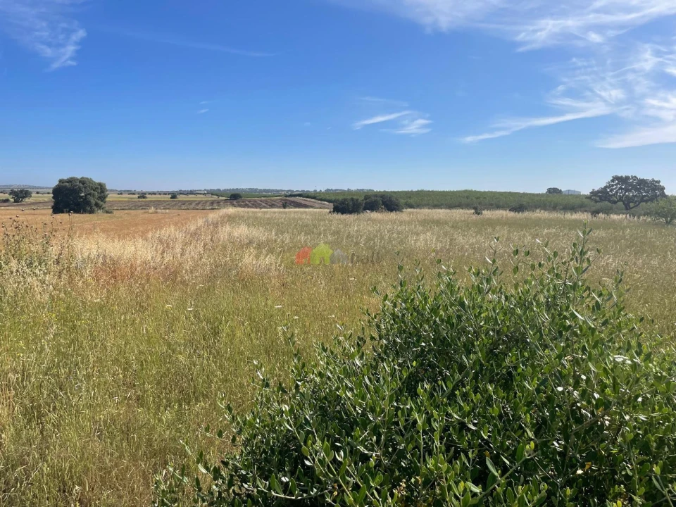 Terreno para Venda em Trigaches e São Brissos Foto 3
