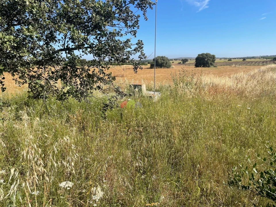 Terreno para Venda em Trigaches e São Brissos Foto 1