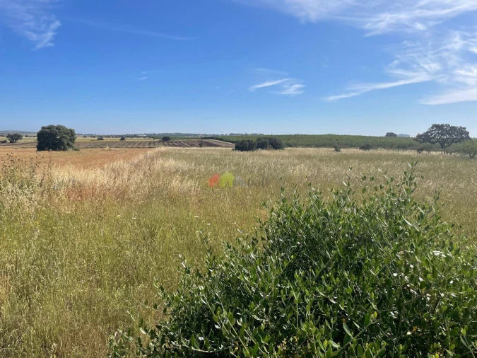 Terreno para Venda em Trigaches e São Brissos Foto 3