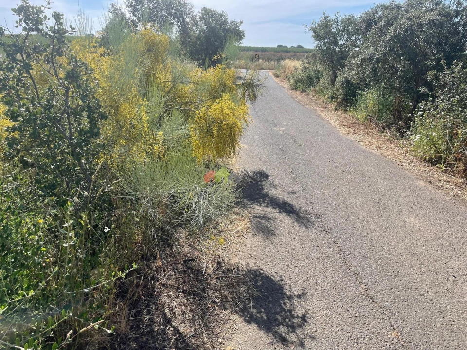 Terreno para Venda em Trigaches e São Brissos Foto 2