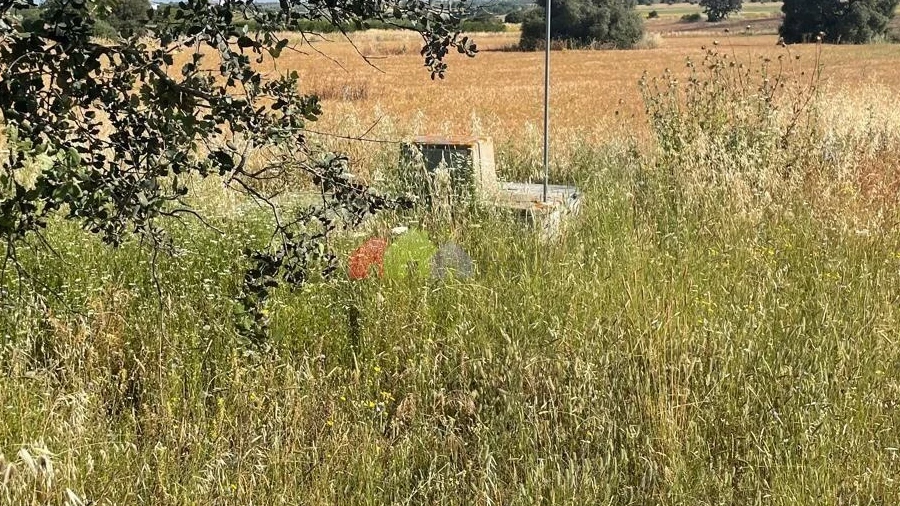 Terreno para Venda em Trigaches e São Brissos