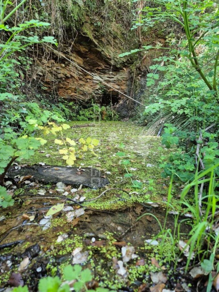 Quinta T2 para Venda em São Salvador e Santa Maria Foto 8