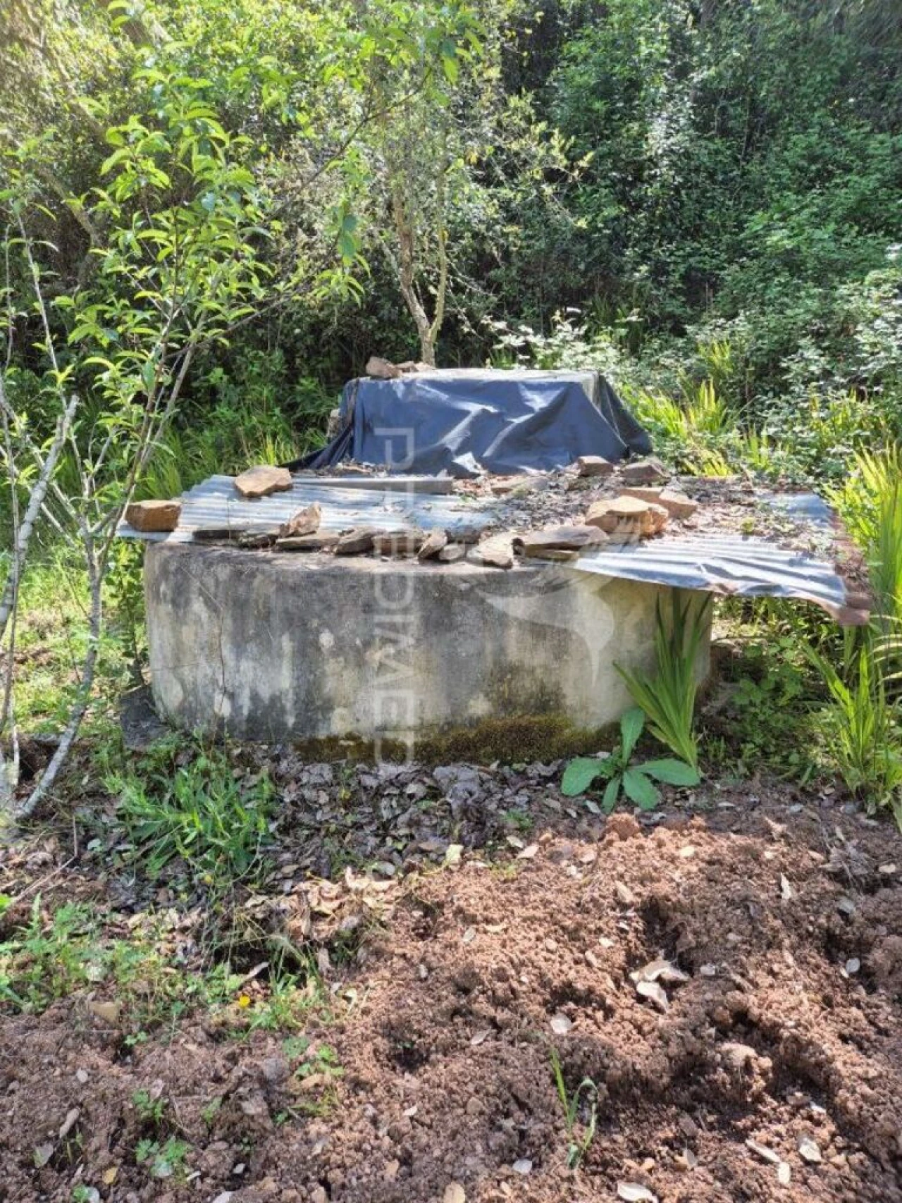 Quinta T2 para Venda em São Salvador e Santa Maria Foto 7