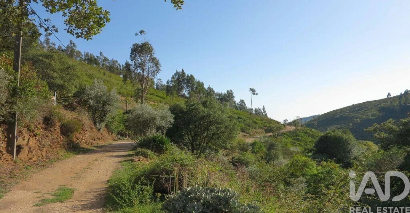 Moradia T5 para Venda em Figueiró dos Vinhos e Bairradas Foto 24