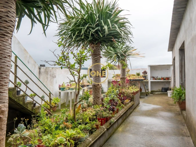 Moradia T3 para Venda em Ribeira Grande (Matriz) Foto 9