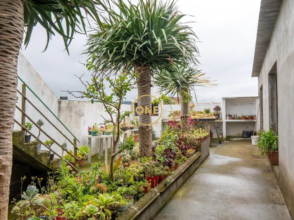 Moradia T3 para Venda em Ribeira Grande (Matriz) Foto 9