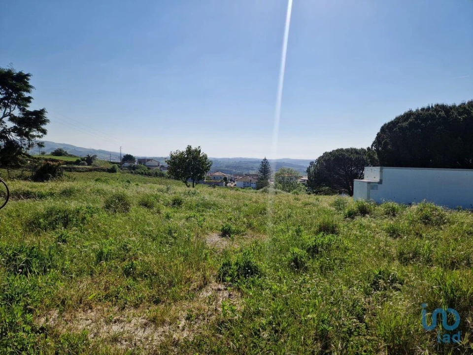 Terreno para Venda em Lamas e Cercal Foto 6