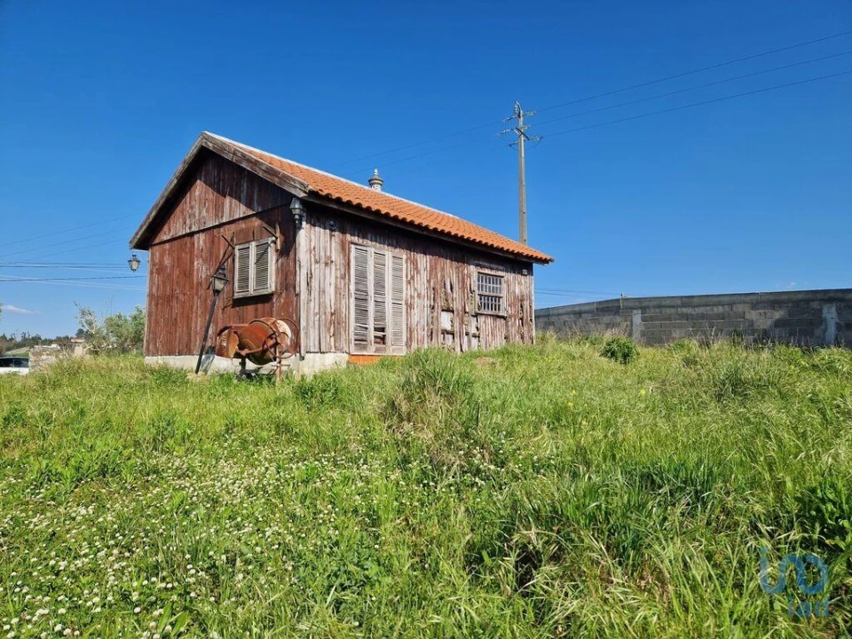 Terreno para Venda em Lamas e Cercal Foto 2