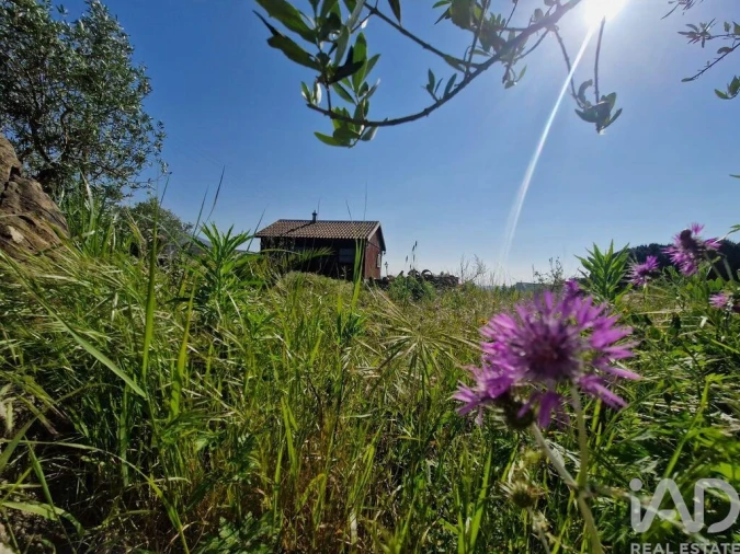 Terreno para Venda em Lamas e Cercal Foto 18