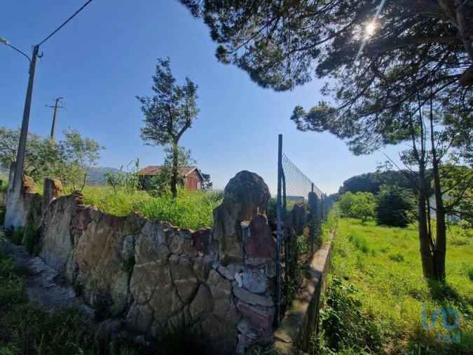 Terreno para Venda em Lamas e Cercal Foto 12