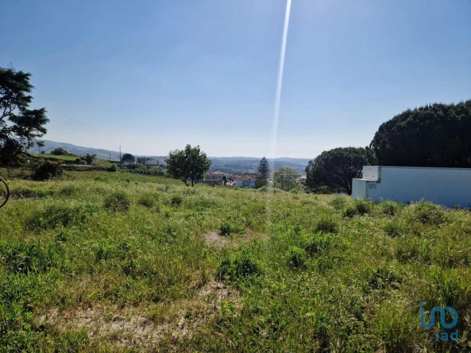 Terreno para Venda em Lamas e Cercal Foto 6