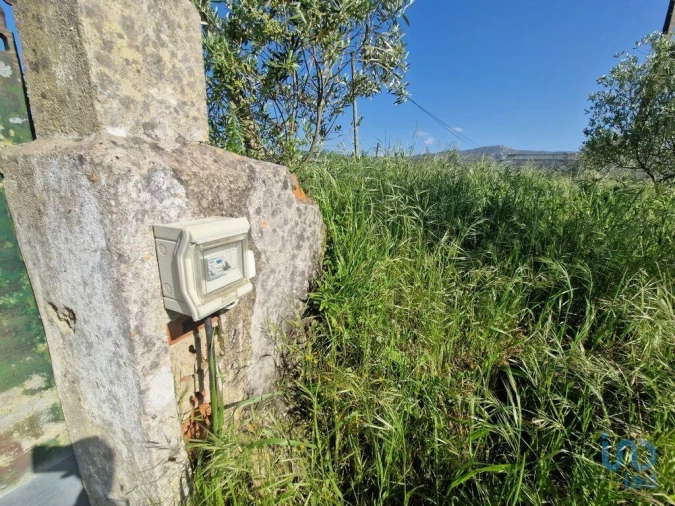 Terreno para Venda em Lamas e Cercal Foto 4