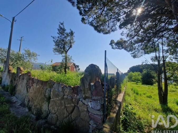 Terreno para Venda em Lamas e Cercal Foto 20