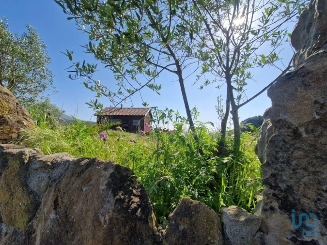 Terreno para Venda em Lamas e Cercal Foto 7