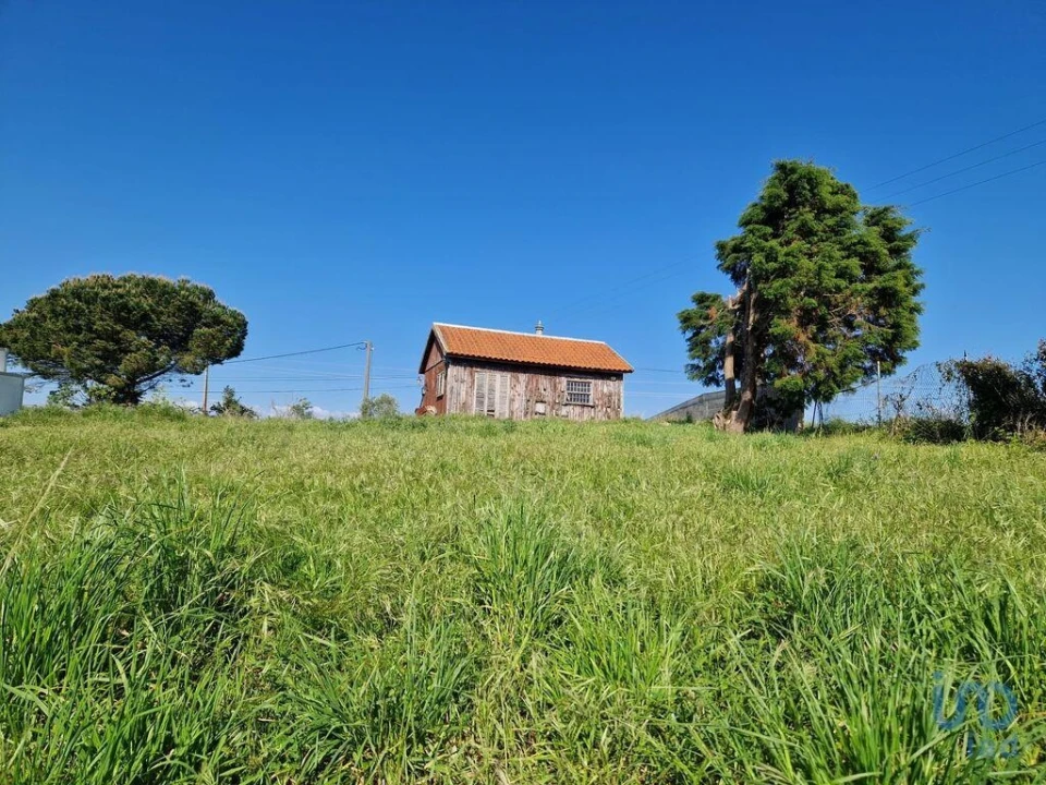 Terreno para Venda em Lamas e Cercal Foto 1