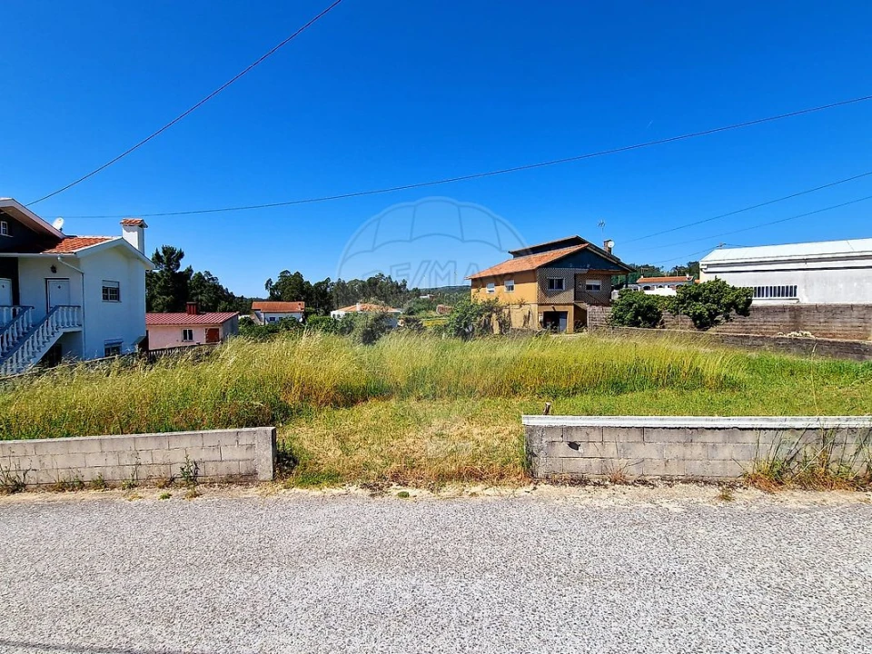 Terreno para Venda em Figueira de Lorvão Foto 5