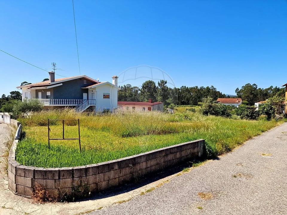 Terreno para Venda em Figueira de Lorvão Foto 4