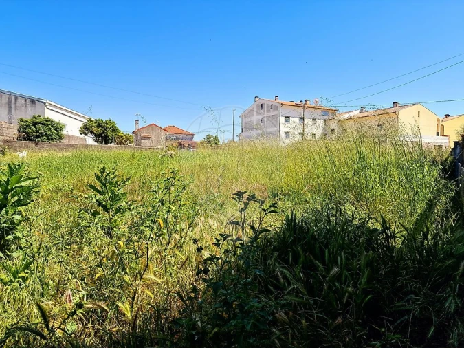 Terreno para Venda em Figueira de Lorvão Foto 6