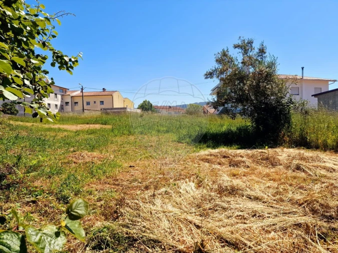 Terreno para Venda em Figueira de Lorvão Foto 5