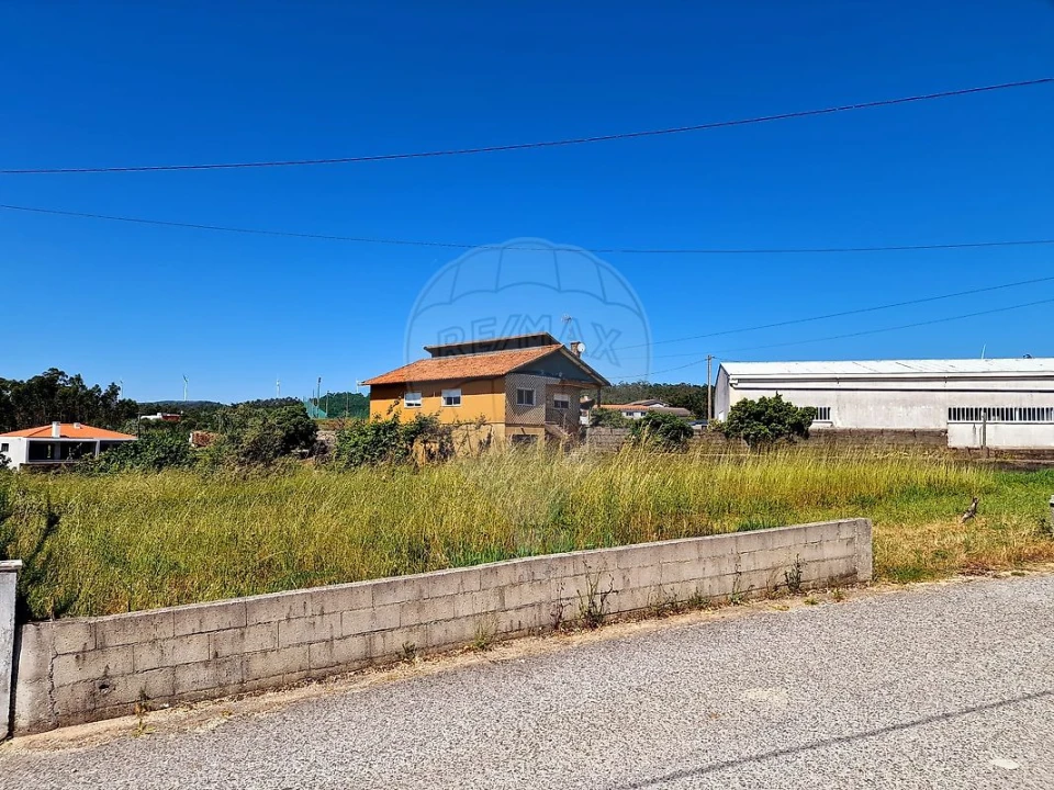 Terreno para Venda em Figueira de Lorvão Foto 6