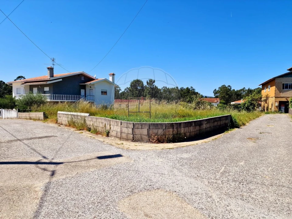 Terreno para Venda em Figueira de Lorvão Foto 3