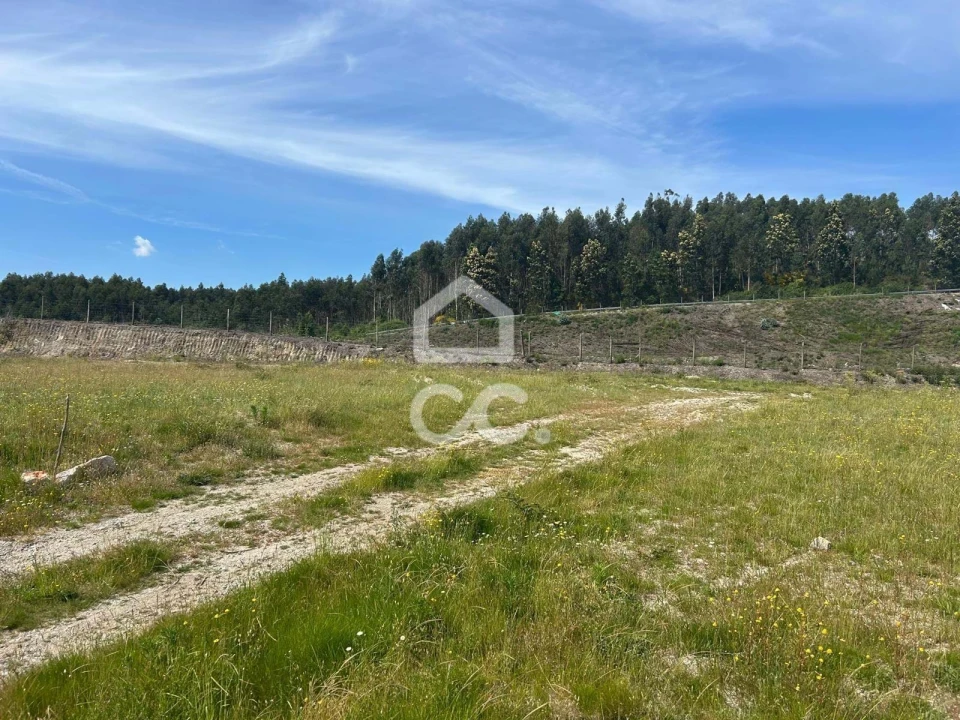 Terreno para Venda em Leitões, Oleiros e Figueiredo Foto 2