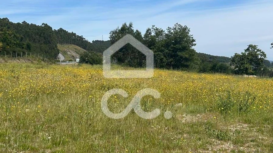 Terreno para Venda em Leitões, Oleiros e Figueiredo