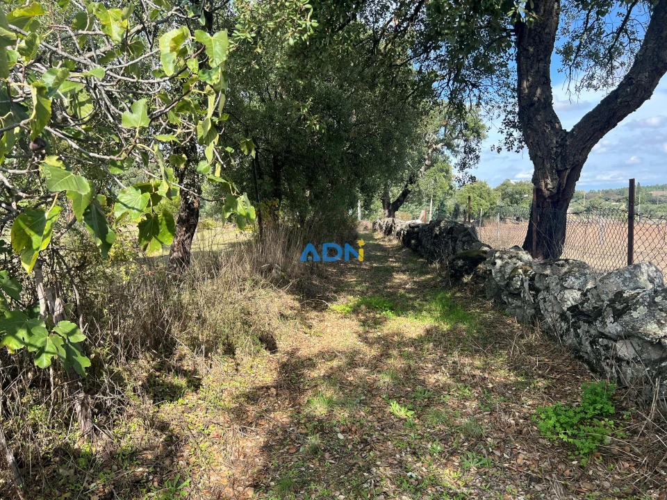 Terreno para Venda em Castelo Branco Foto 30