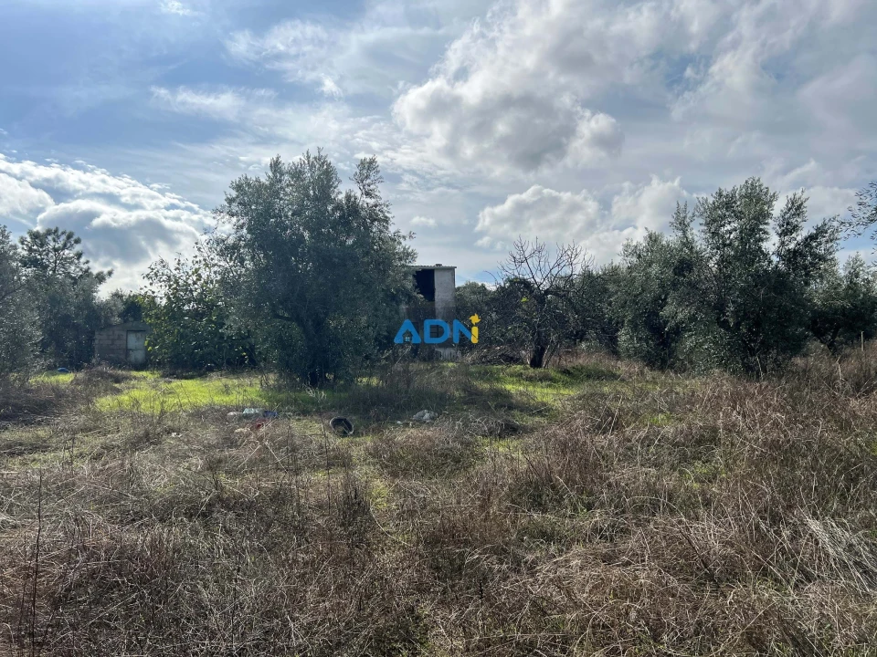 Terreno para Venda em Castelo Branco Foto 20