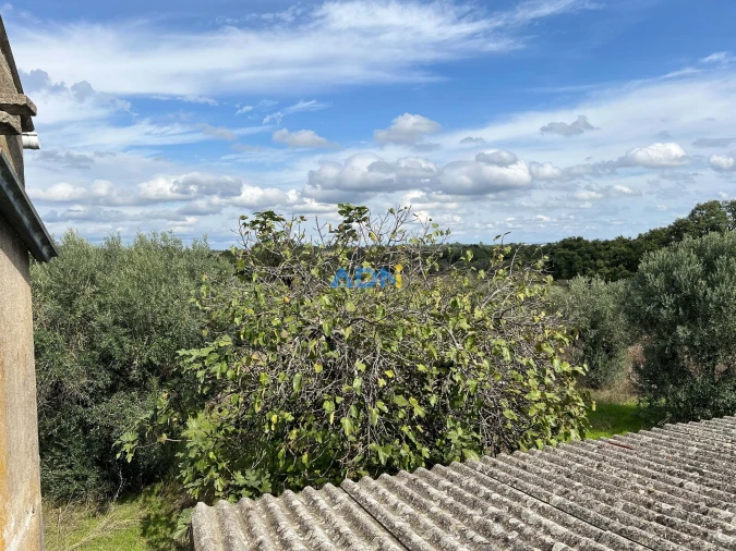Terreno para Venda em Castelo Branco Foto 11