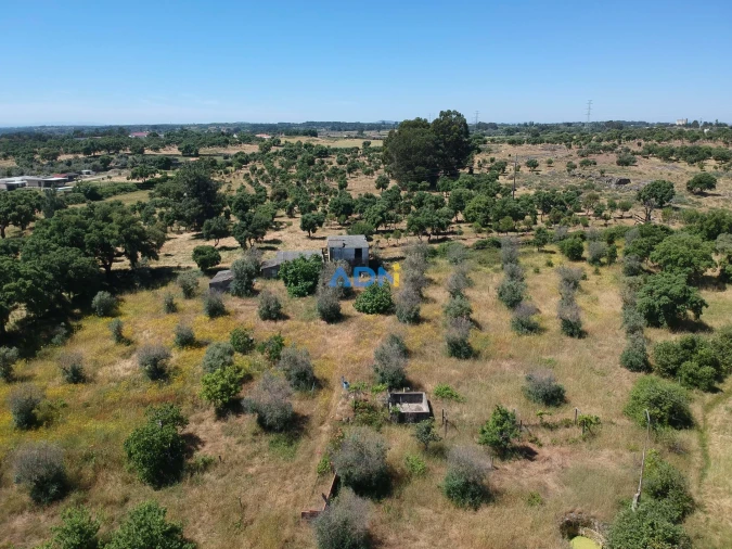 Terreno para Venda em Castelo Branco