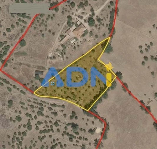 Terreno para Venda em Castelo Branco Foto 31