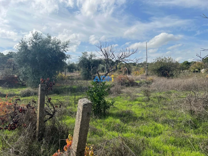 Terreno para Venda em Castelo Branco Foto 23