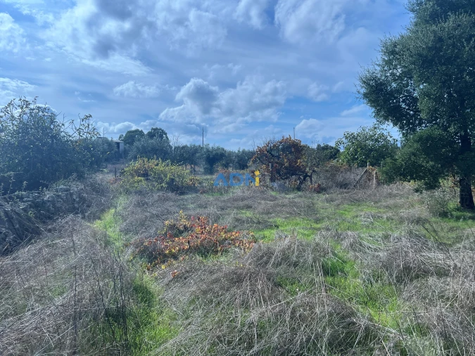 Terreno para Venda em Castelo Branco Foto 27